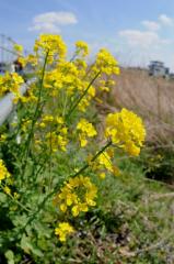 20120415-03.jpg