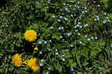 20120415-04.jpg