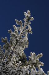 20130203-04.jpg