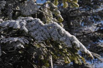 20130203-05.jpg