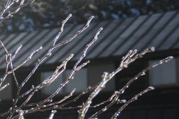 20130203-14.jpg