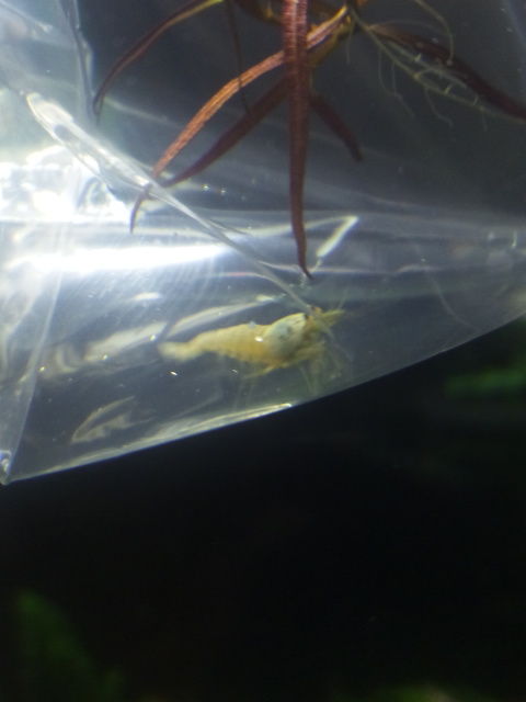 20131228234124f8b.jpg
