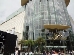 DSC09455.jpg