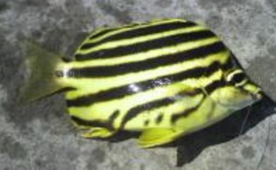 2011092309030000_convert_20110924164247.jpg