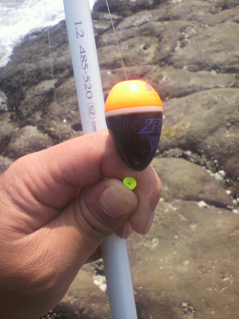 20111009182817.jpg