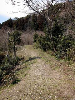 ハイキングコース 愛宕神社参道・いにしえコース