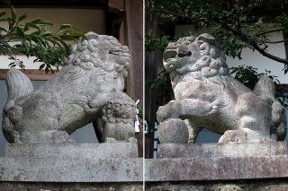 愛宕神社の狛犬