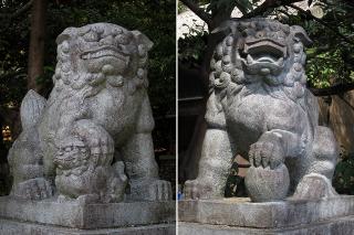 愛宕神社の狛犬