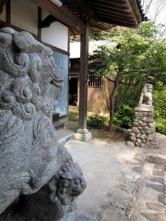 愛宕神社の狛犬