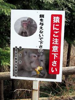 猿の立札