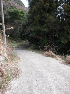 ハイキングコース 赤谷川沿川・城跡コース