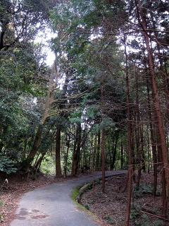 ハイキングコース 赤谷川沿川・城跡コース