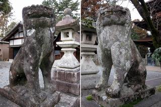 日吉神社の狛犬