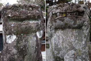 日吉神社の狛犬