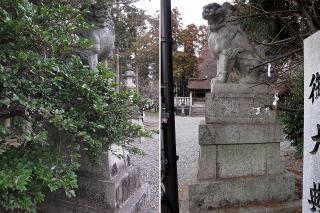 日吉神社の狛犬