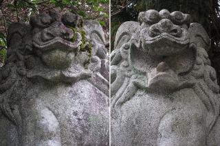 日吉神社の狛犬