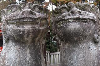 日吉神社の狛犬