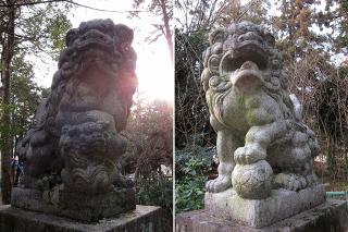 日吉神社(招魂社)の狛犬