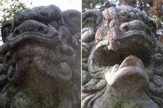 日吉神社(招魂社)の狛犬