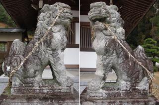 瓶井神社の狛犬