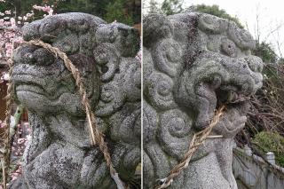 瓶井神社の狛犬