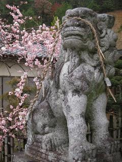 瓶井神社の狛犬
