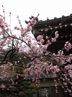 瓶井神社