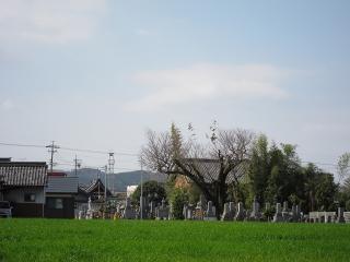 岡崎市岡町南石原の火の見櫓