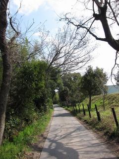 細い道