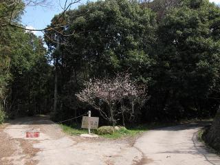 岡崎市岡町西椎野