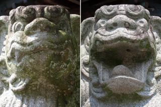 瓶井神社の狛犬