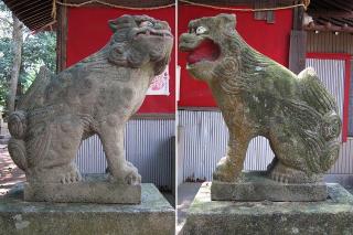 加良須神社の狛犬