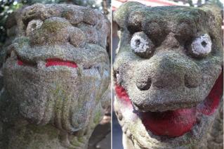 加良須神社の狛犬