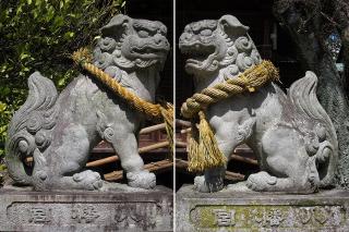 大平八幡社の狛犬