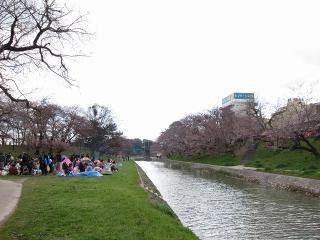 伊賀で花見をする人々