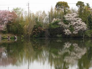 東楽園(柱大池)