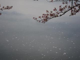 東楽園(柱大池)