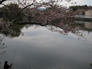 東楽園(柱大池)