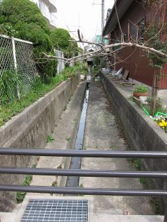 南明橋 江川