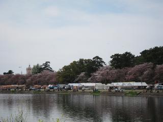 岡崎桜まつり