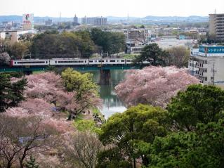 岡崎城より