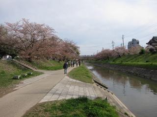 伊賀川