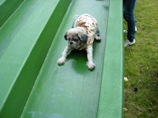 068_convert_20111010125419.jpg