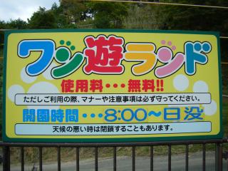 142_convert_20111010125640.jpg