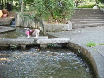 255_convert_20111027104951.jpg