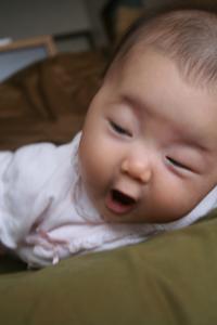 IMG_8249_convert_20110928230453.jpg