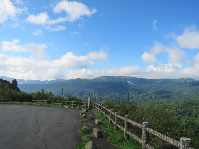IMG_2606.jpg