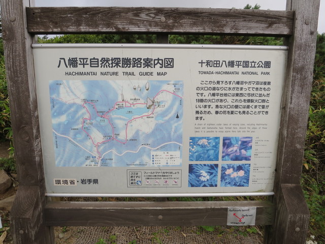 IMG_2641.jpg