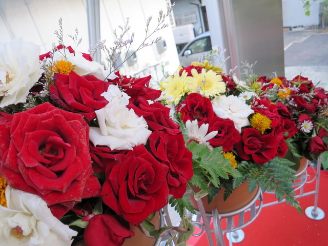 IMG_4112.jpg