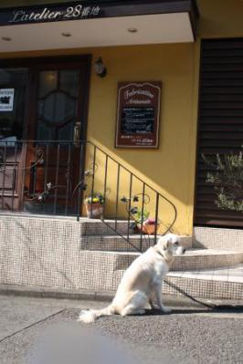 IMG_8843_convert_20120203145026.jpg